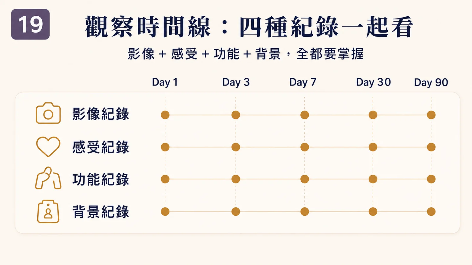 影像、感受、功能與背景的觀察時間線